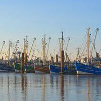 <p>Fisch- und Krabbenkutter im Norddeicher Hafen</p>